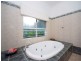 26 Trivia Street, Palm Cove QLD 4879