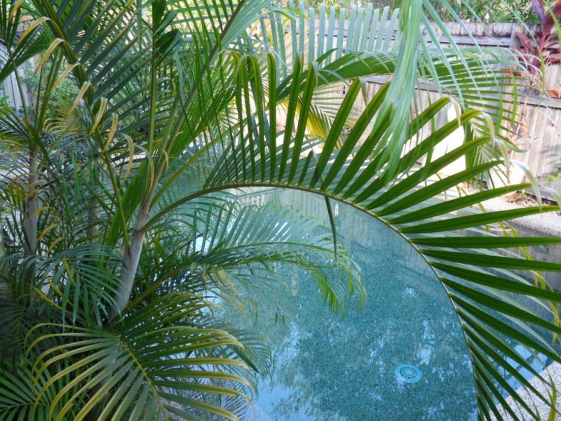 8/24 Warren Street, Palm Cove QLD 4879