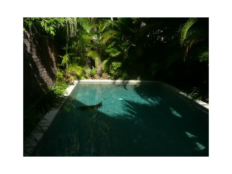 17/75 Cedar Rd, Palm Cove QLD 4879