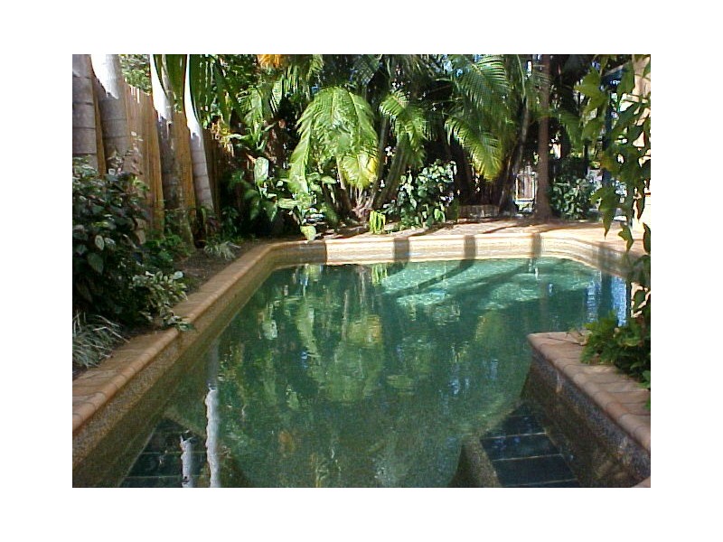 2/31 Oliva St, Palm Cove QLD 4879