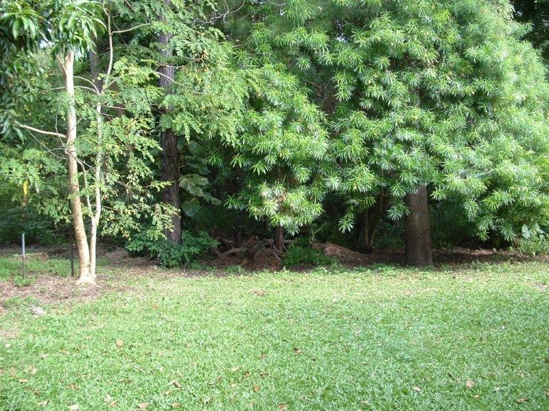 15 Buchan St, Palm Cove QLD 4879