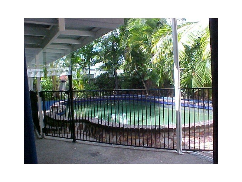 53 Terebra St, Palm Cove QLD 4879