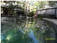 8/21 Cedar Rd, Palm Cove QLD 4879