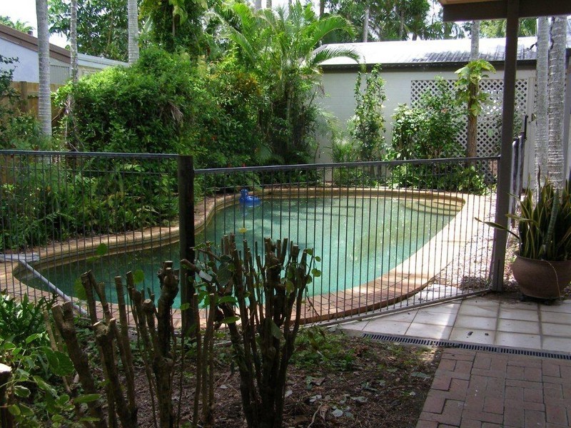 43 Terebra Street, Palm Cove QLD 4879