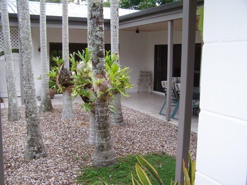 43 Terebra Street, Palm Cove QLD 4879