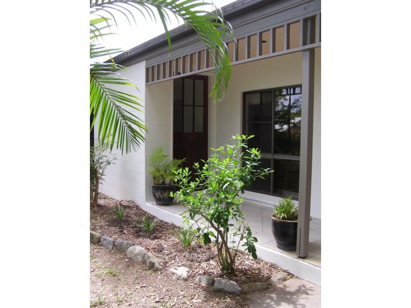 43 Terebra Street, Palm Cove QLD 4879