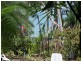 12/85 Williams Esplanade, Palm Cove QLD 4879