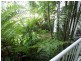 12/85 Williams Esplanade, Palm Cove QLD 4879