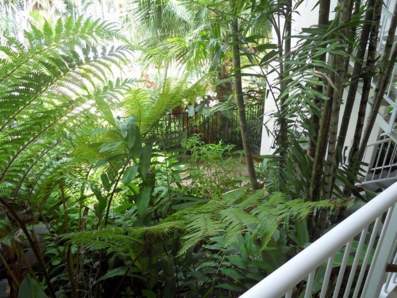 12/85 Williams Esplanade, Palm Cove QLD 4879