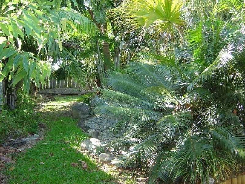 47 Albatross Street, Kewarra Beach QLD 4879