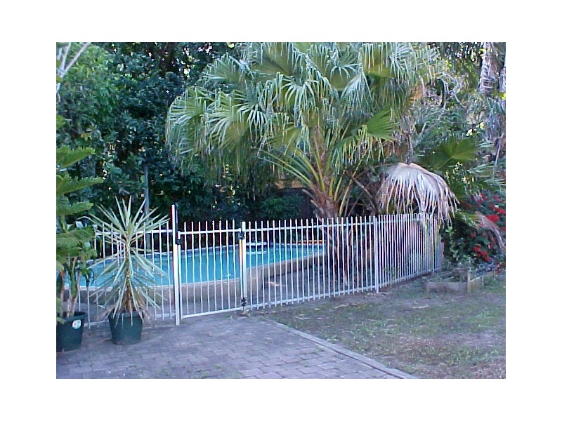 18 Amphora St, Palm Cove QLD 4879