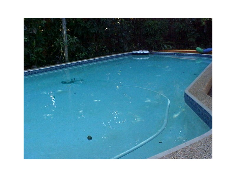 18 Amphora St, Palm Cove QLD 4879