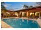 84 Cedar Road, Palm Cove QLD 4879