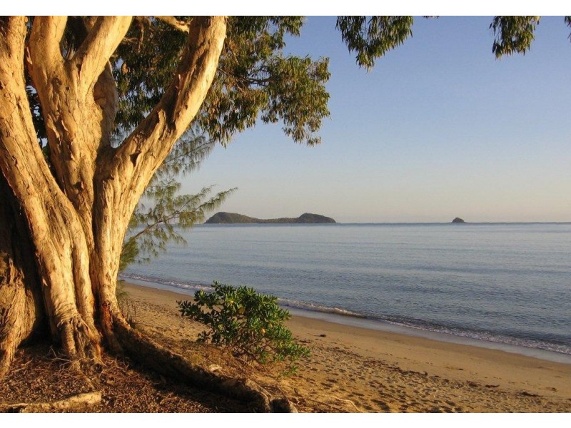 10/65 Cedar Road, Palm Cove QLD 4879