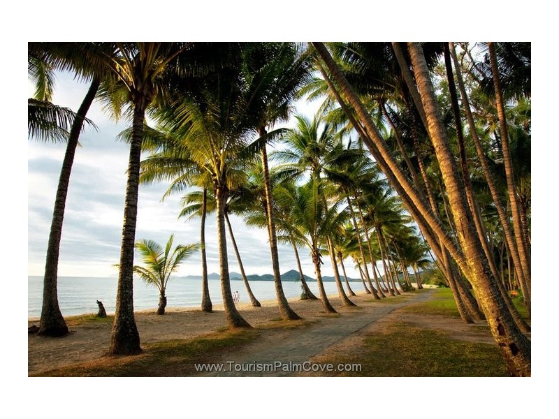 29/10 Harpa Street, Palm Cove QLD 4879