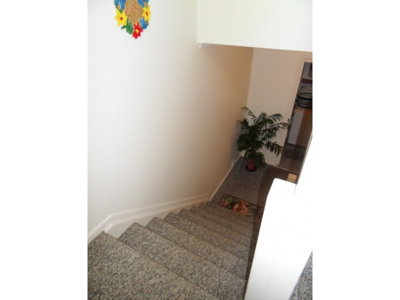 3/13 Amphora Street, Palm Cove QLD 4879