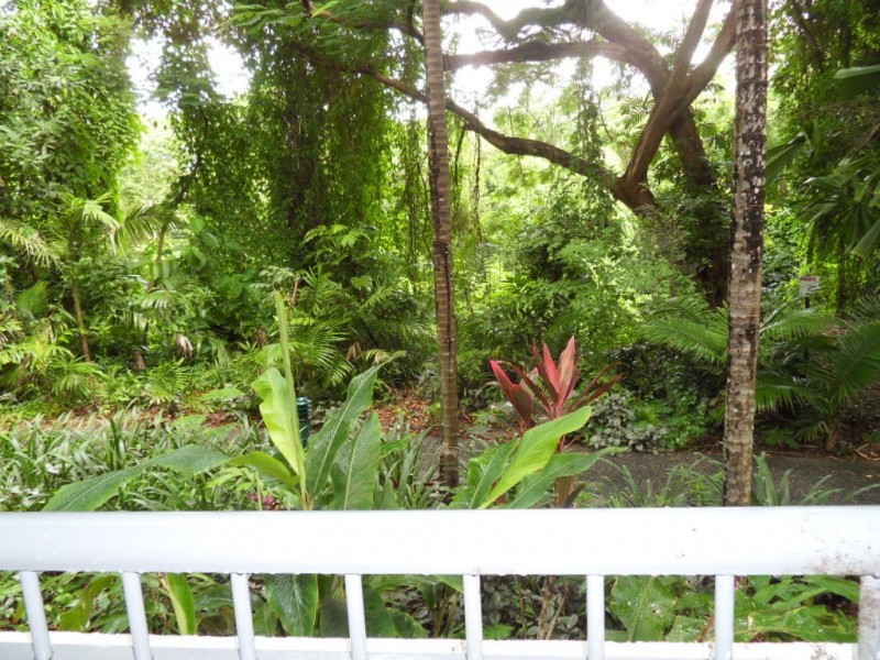 17/23 Veivers Road, Palm Cove QLD 4879