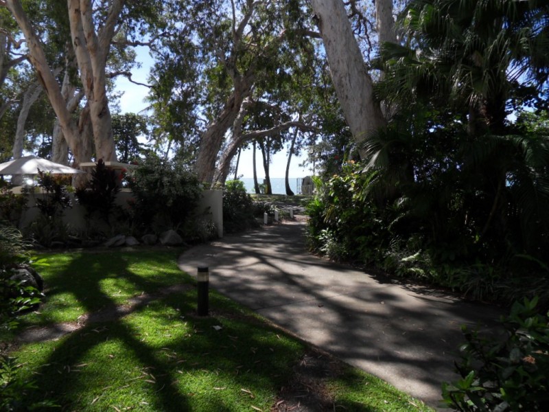 1/131 Williams Esplanade, Palm Cove QLD 4879
