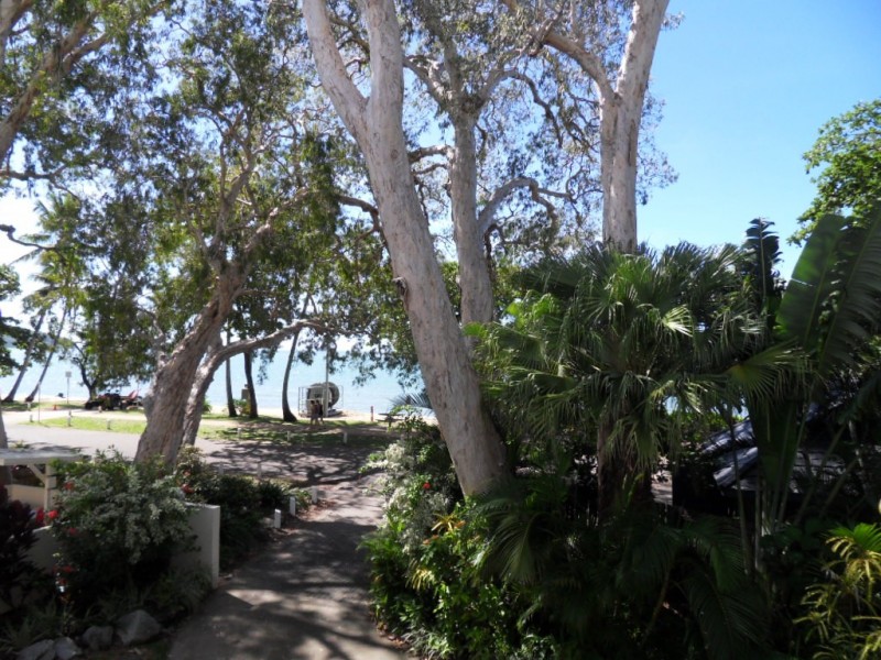 5/131 Williams Esplanade, Palm Cove QLD 4879