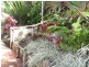 Palm Cove QLD 4879