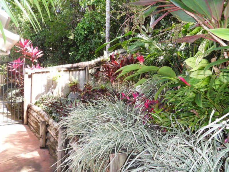 Palm Cove QLD 4879