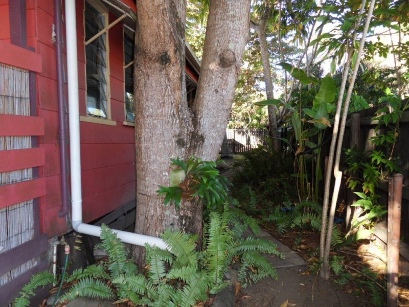 53 Upolu Esplanade, Clifton Beach QLD 4879