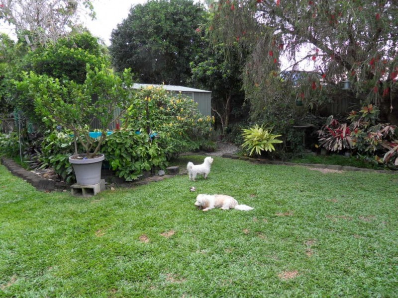 80 Nova Street, Kewarra Beach QLD 4879