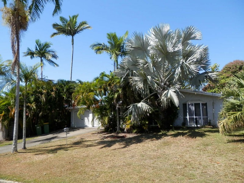 67 Terebra St, Palm Cove QLD 4879