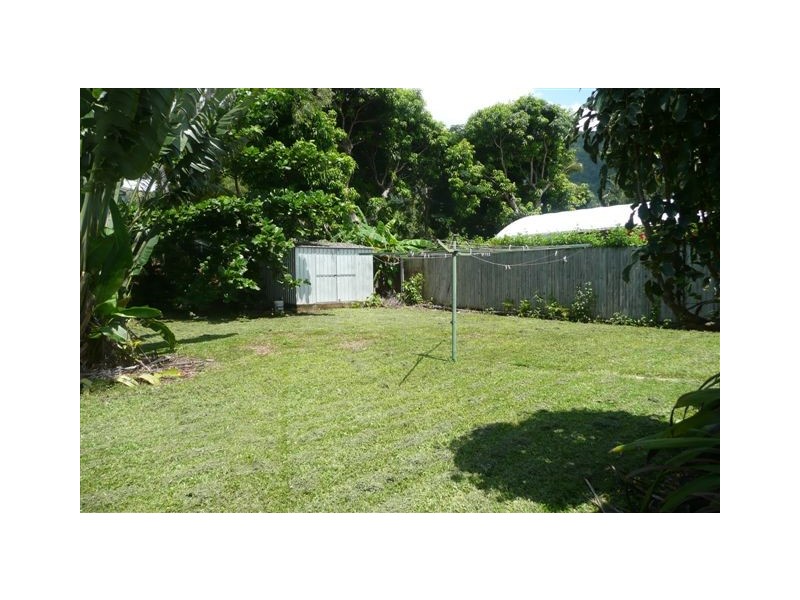 67 Terebra St, Palm Cove QLD 4879