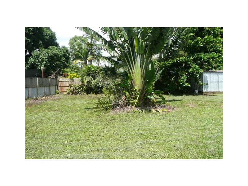 67 Terebra St, Palm Cove QLD 4879