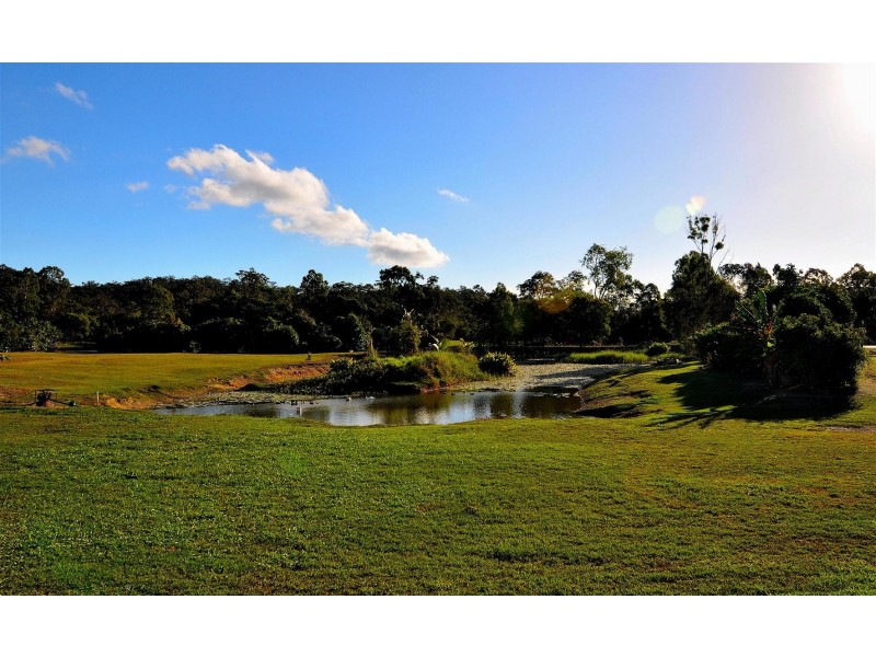53 CardiniaBvd., Speewah QLD 4881