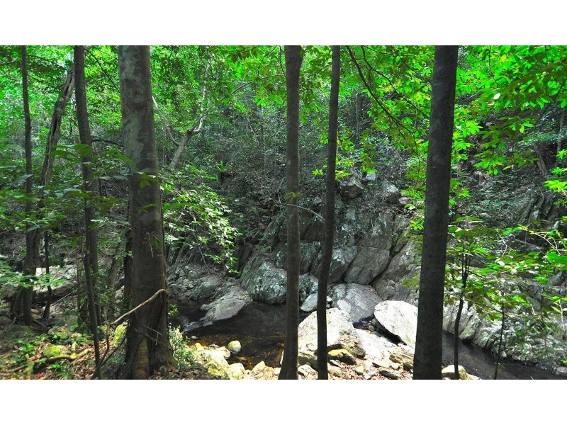 139 Stanton Road, Smithfield QLD 4878