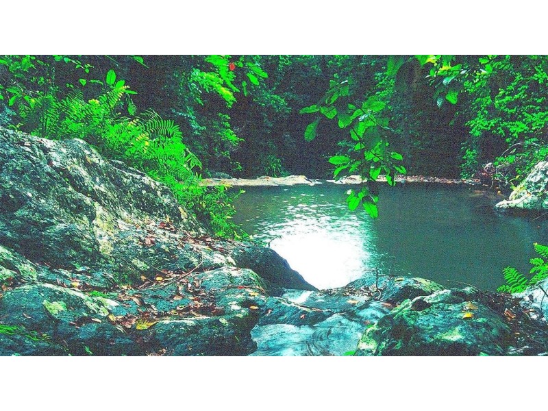 139 Stanton Road, Smithfield QLD 4878