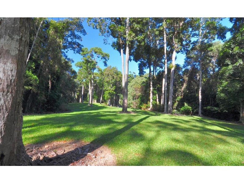 Kuranda QLD 4881