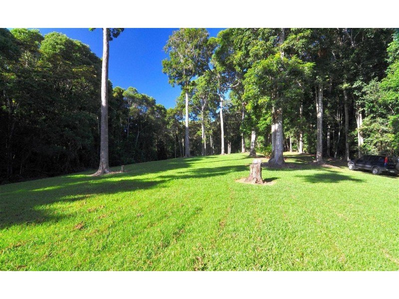 Kuranda QLD 4881