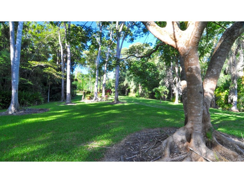 Kuranda QLD 4881