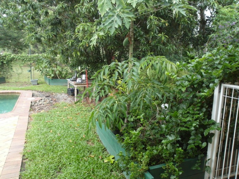 16 Orton Ave, Kewarra Beach QLD 4879