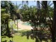 319 Coral Coast Drive, Palm Cove QLD 4879