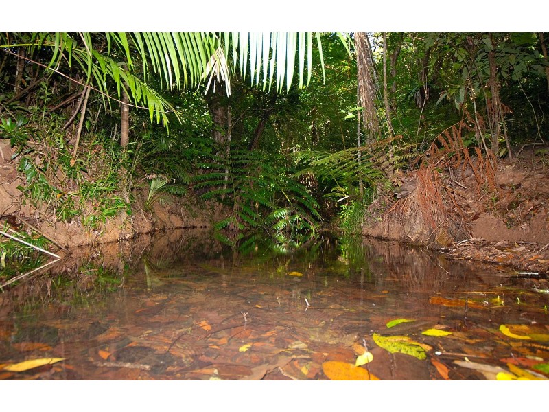 6 Fallon Close, Kuranda QLD 4881