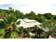 4 Baines Street, Clifton Beach QLD 4879