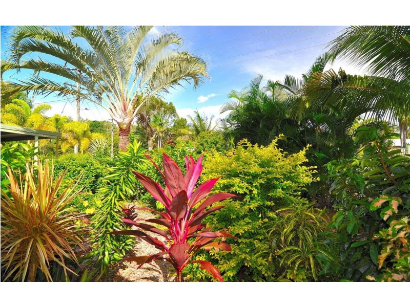 4 Baines Street, Clifton Beach QLD 4879