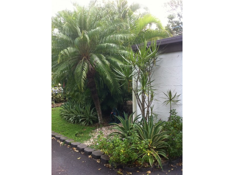 3/57-61 Bamboo Street, Holloways Beach QLD 4878