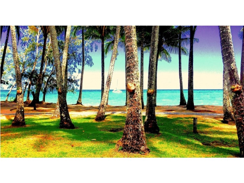 123 Williams Esplanade, Palm Cove QLD 4879