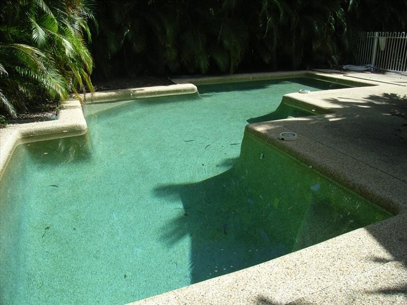 19 Lambus St, Palm Cove QLD 4879