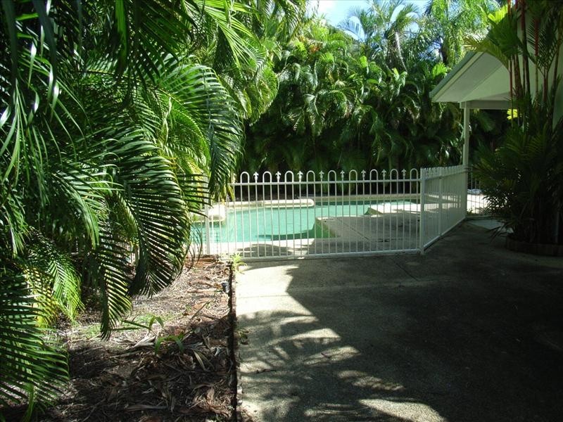 19 Lambus St, Palm Cove QLD 4879
