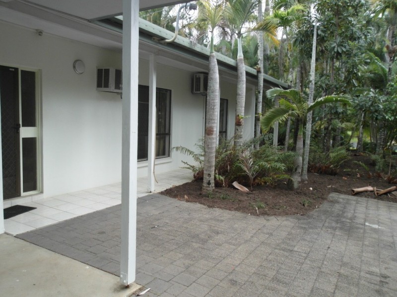 19 Lambus St, Palm Cove QLD 4879