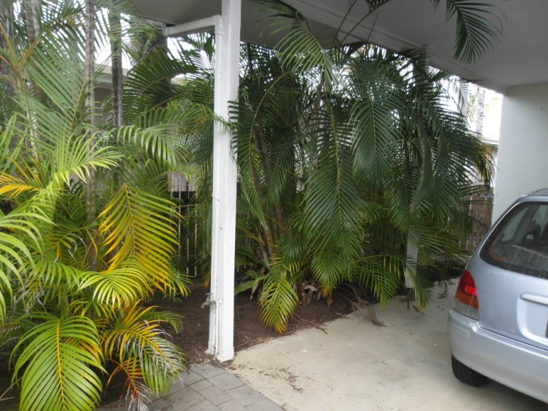 19 Lambus St, Palm Cove QLD 4879