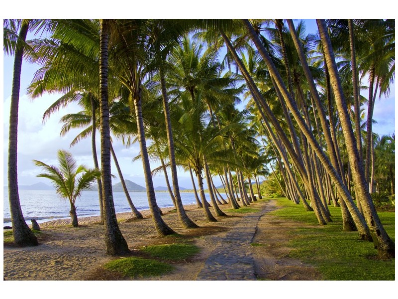 59 Veivers Rd, Palm Cove QLD 4879