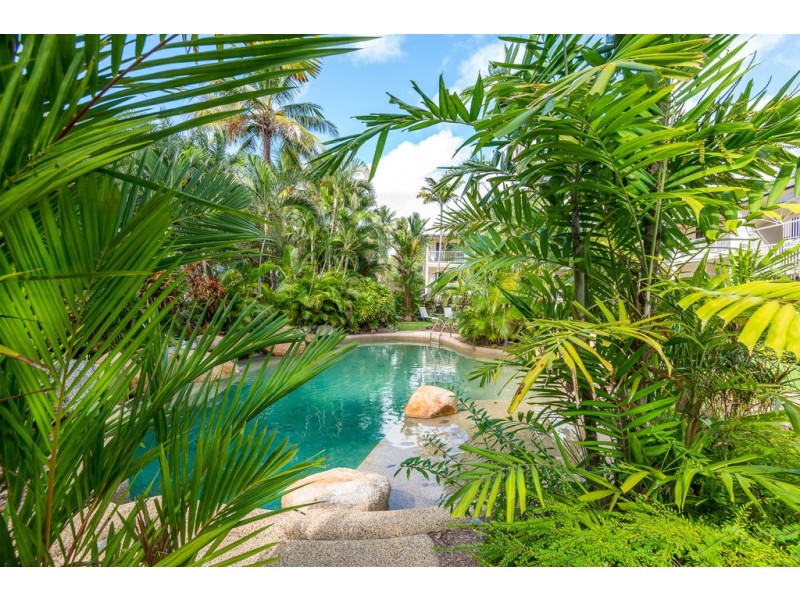 21/85 Williams Esp, Palm Cove QLD 4879
