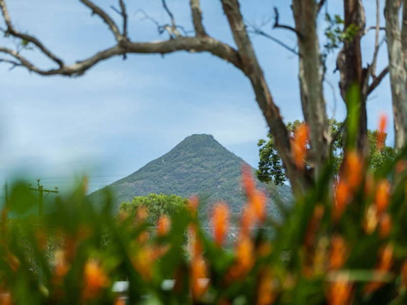 13 Hawkins Street, Gordonvale QLD 4865